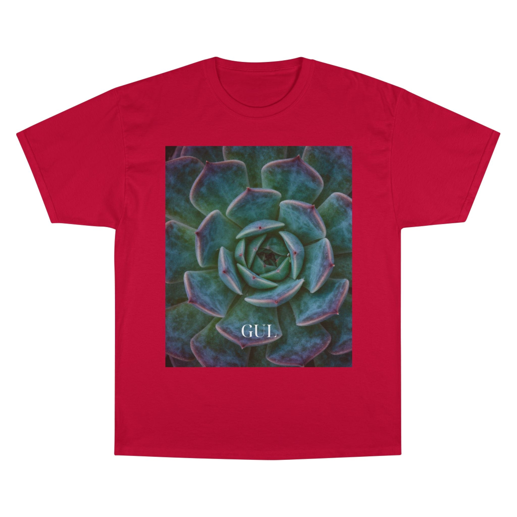 Champion Graphic T‑Shirt — Succulent & Pyramid Photo Print Tee