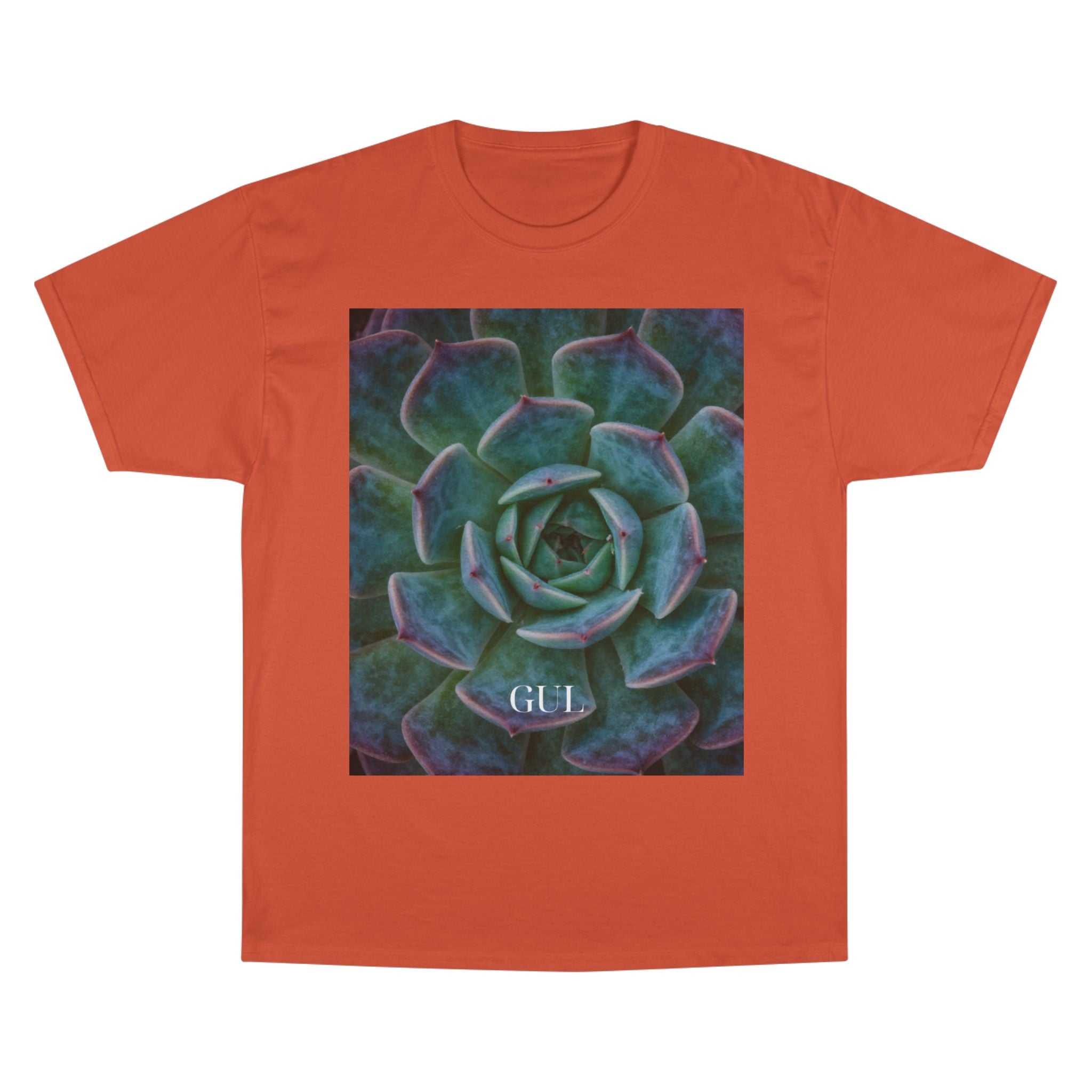 Champion Graphic T‑Shirt — Succulent & Pyramid Photo Print Tee