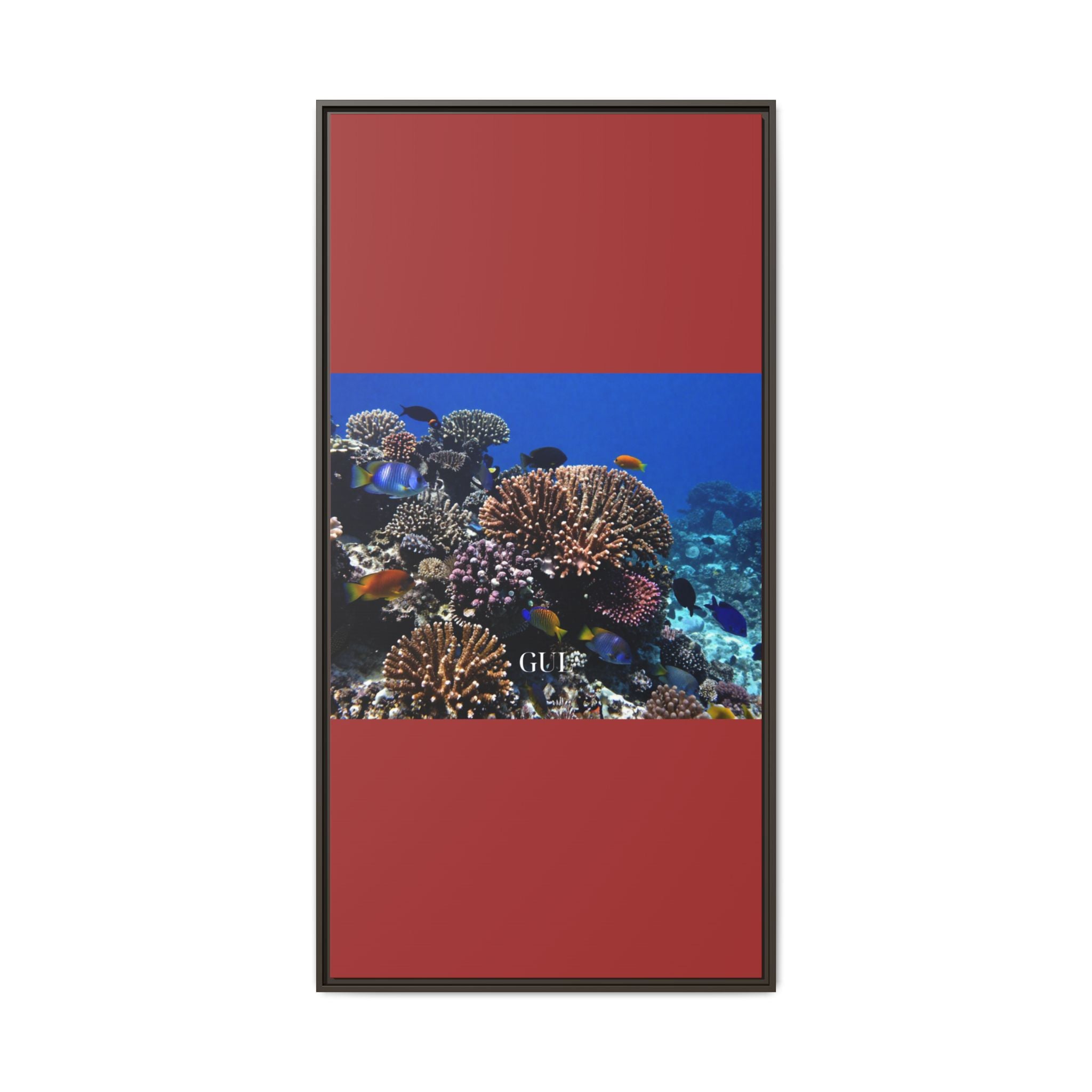 Framed Coral Reef Matte Canvas Wall Art — Tropical Ocean Photography Print