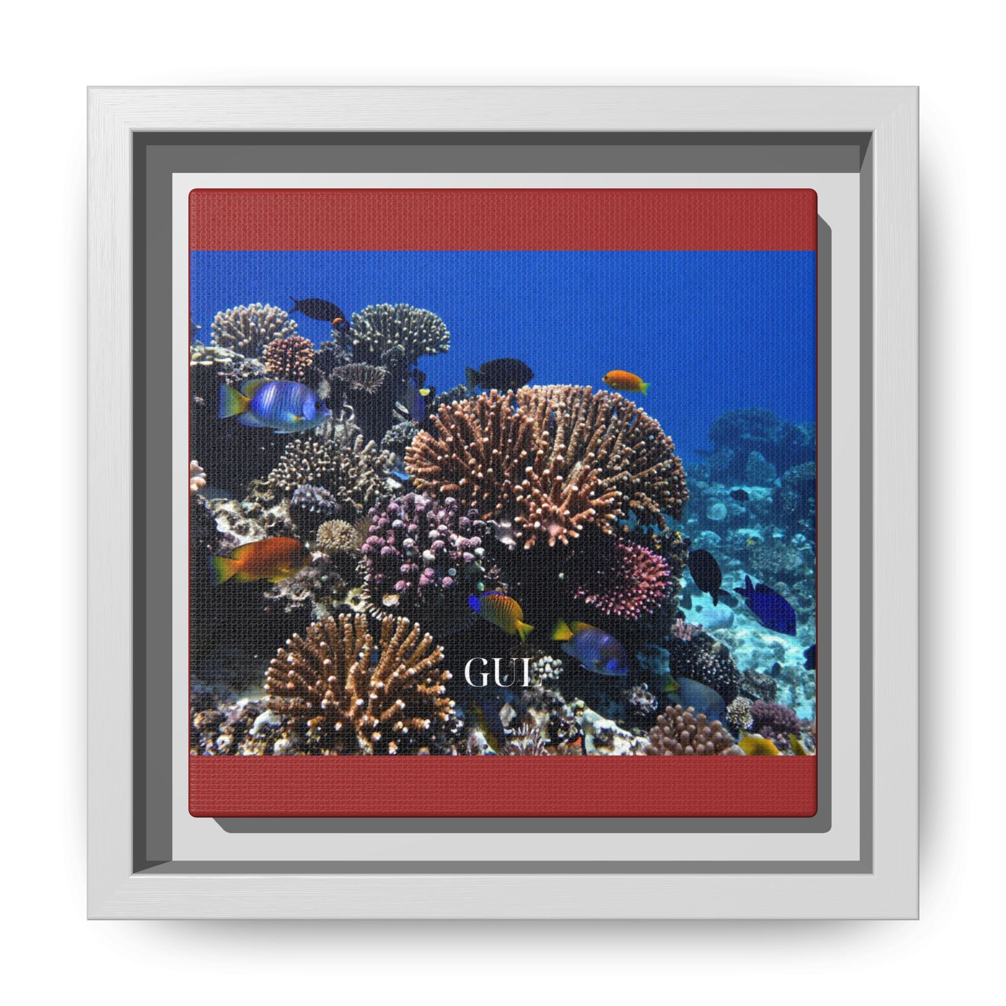 Framed Coral Reef Matte Canvas Wall Art — Tropical Ocean Photography Print