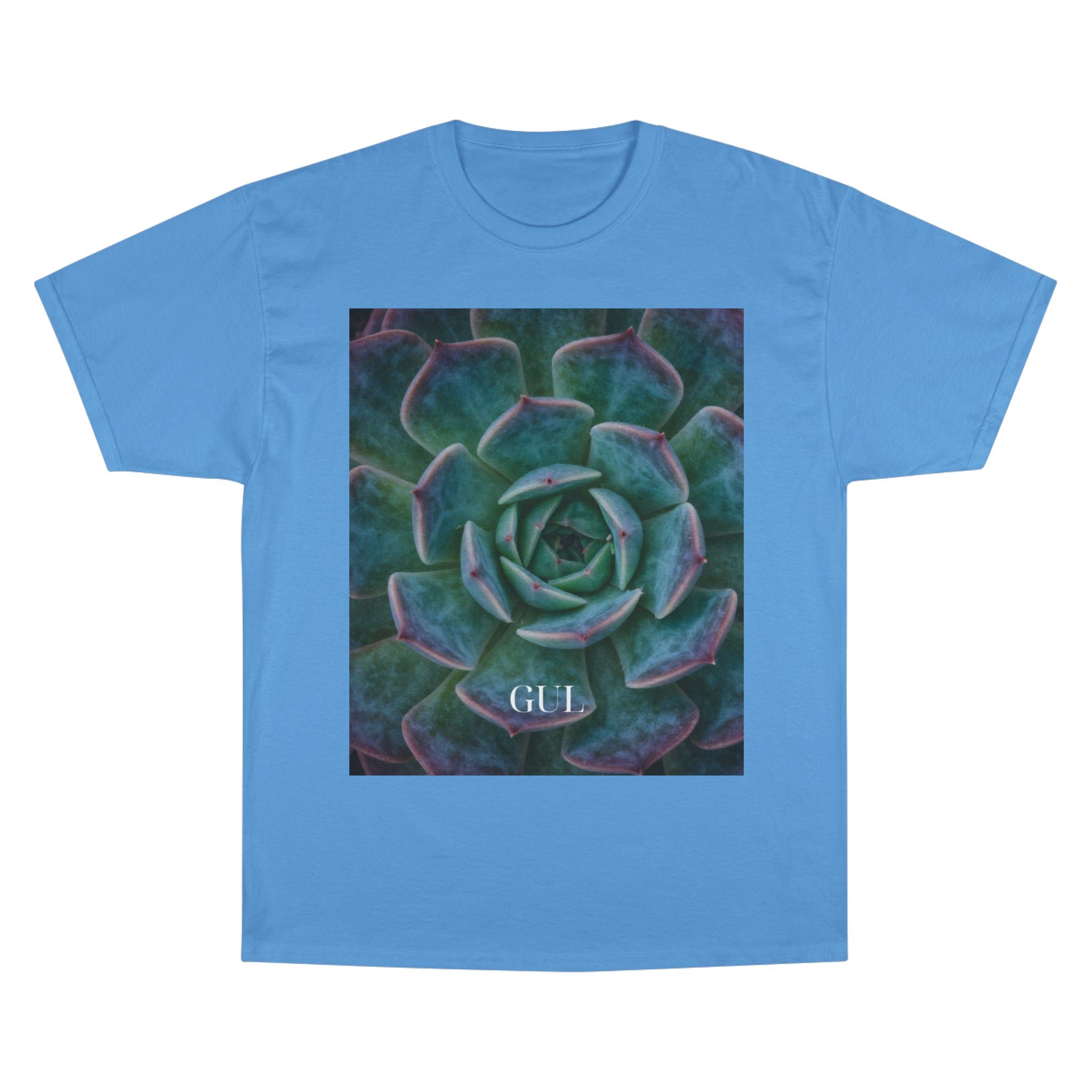 Champion Graphic T‑Shirt — Succulent & Pyramid Photo Print Tee