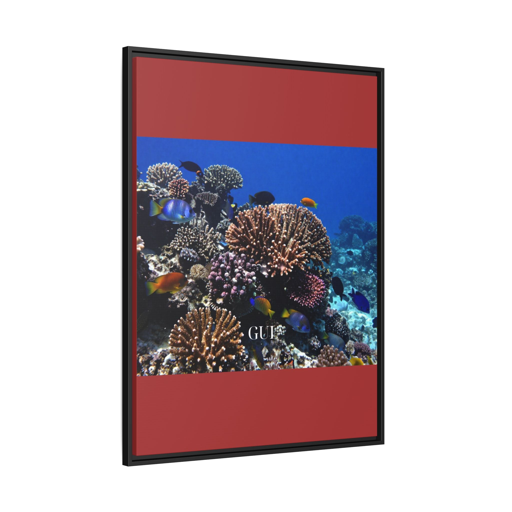 Framed Coral Reef Matte Canvas Wall Art — Tropical Ocean Photography Print