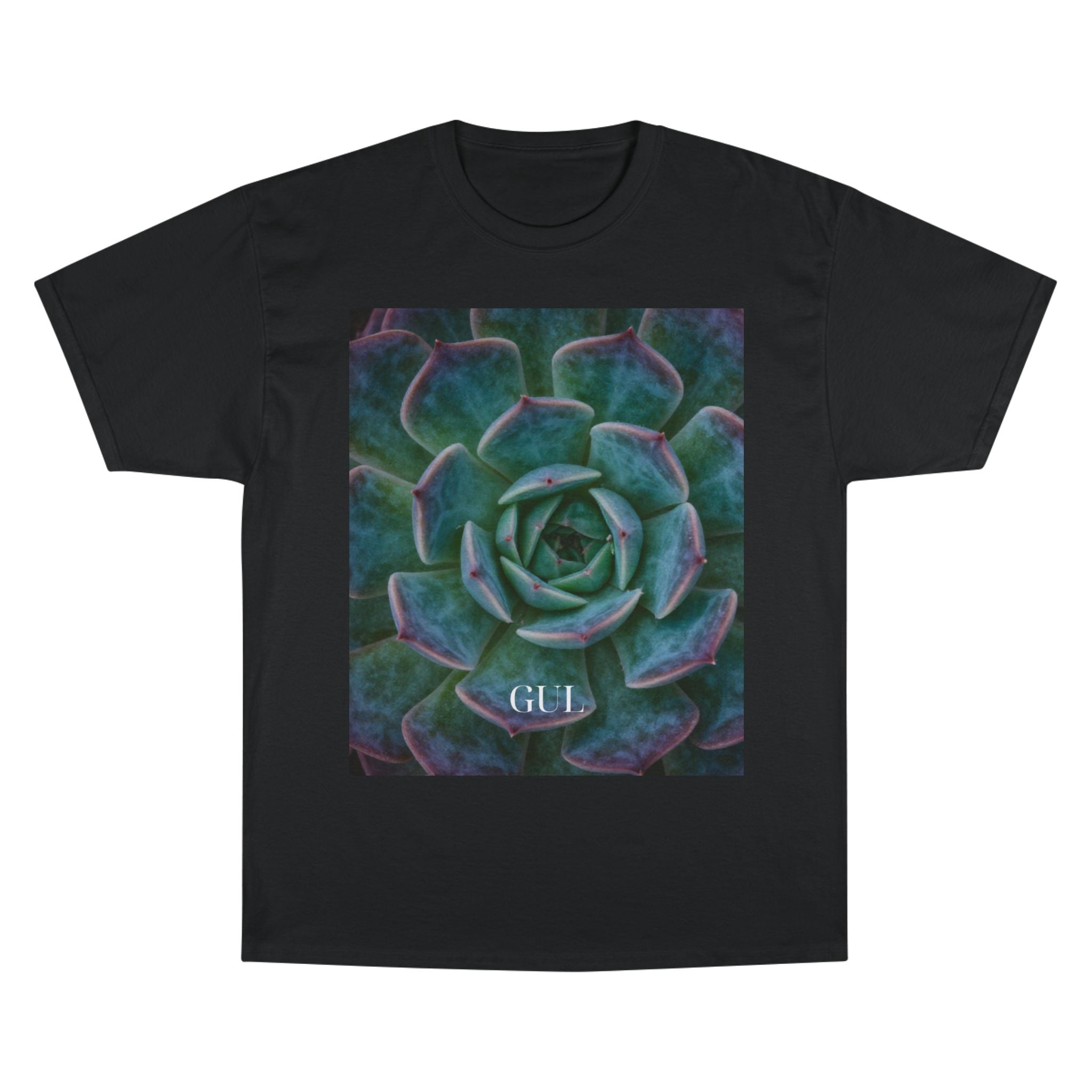 Champion Graphic T‑Shirt — Succulent & Pyramid Photo Print Tee