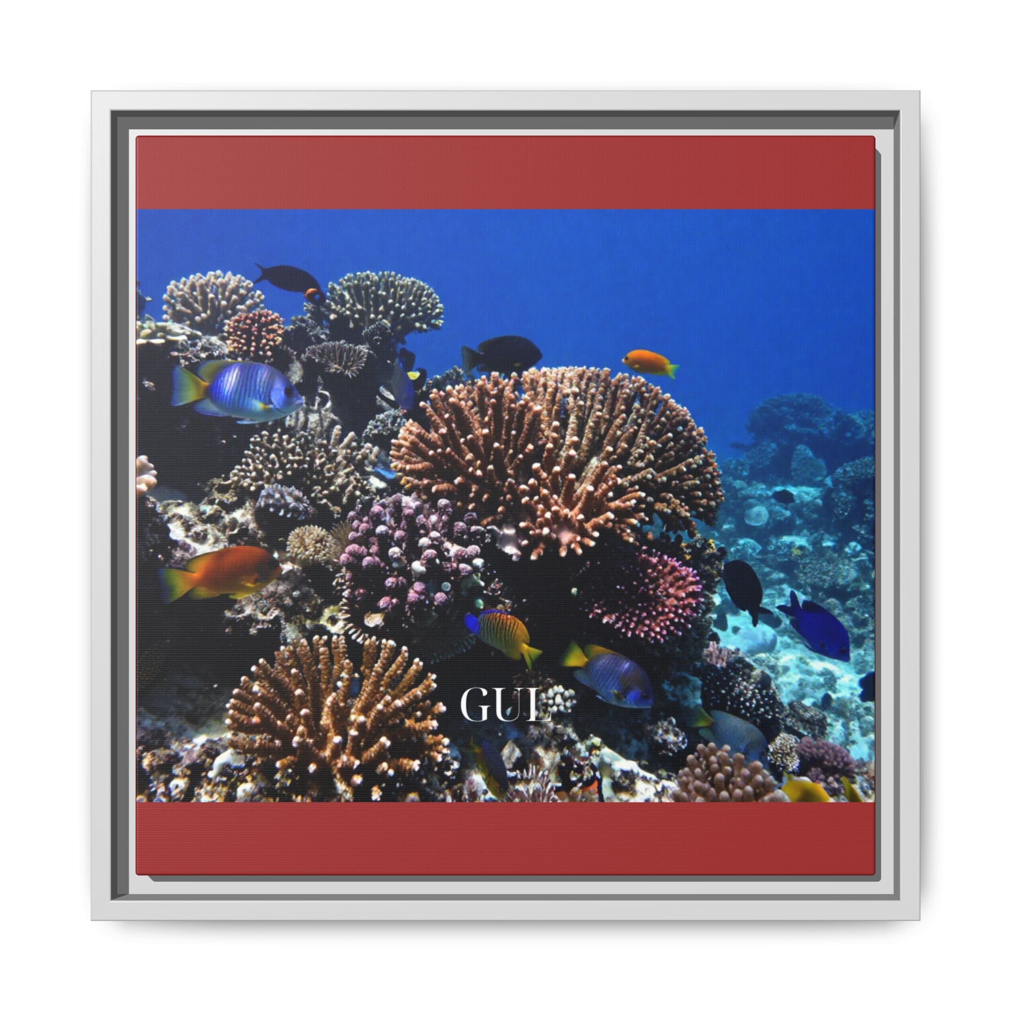 Framed Coral Reef Matte Canvas Wall Art — Tropical Ocean Photography Print