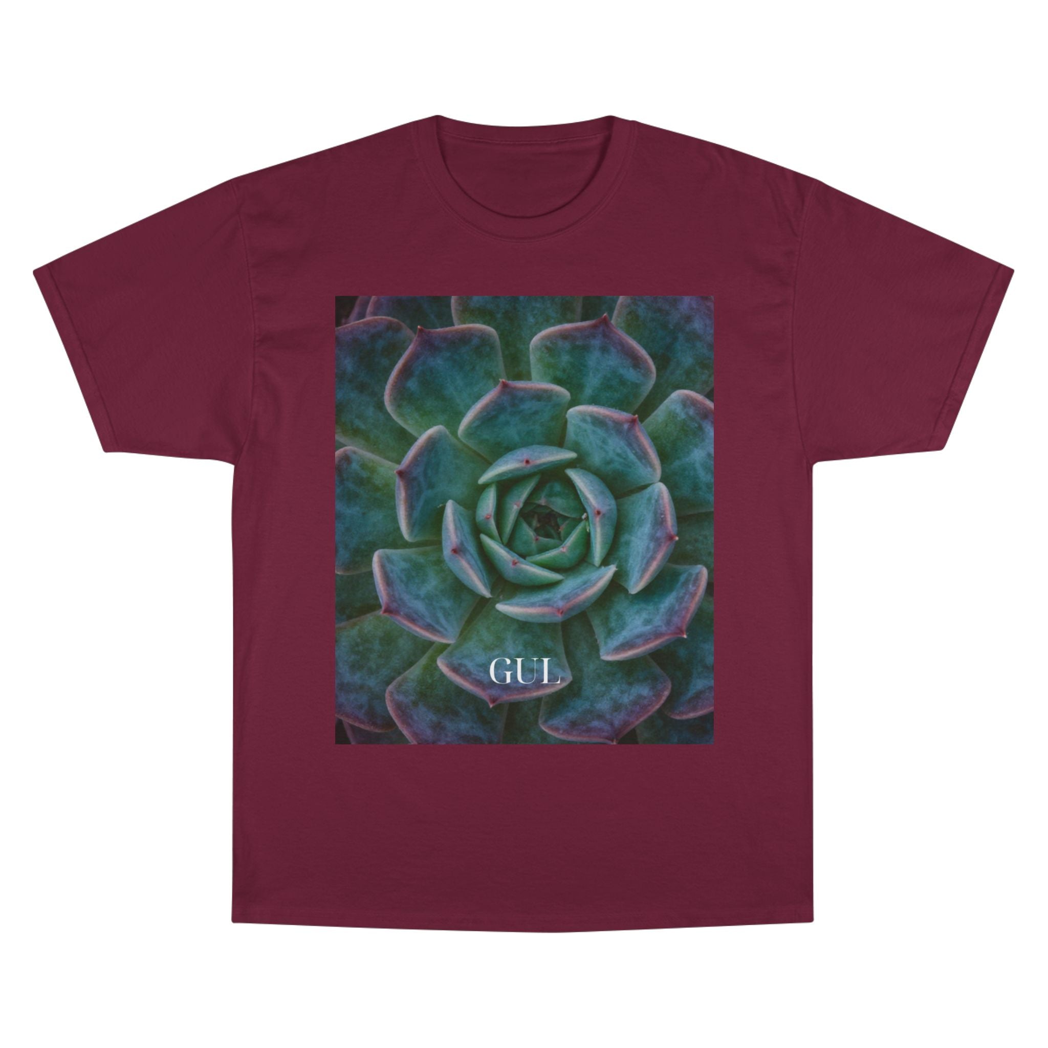 Champion Graphic T‑Shirt — Succulent &amp; Pyramid Photo Print Tee