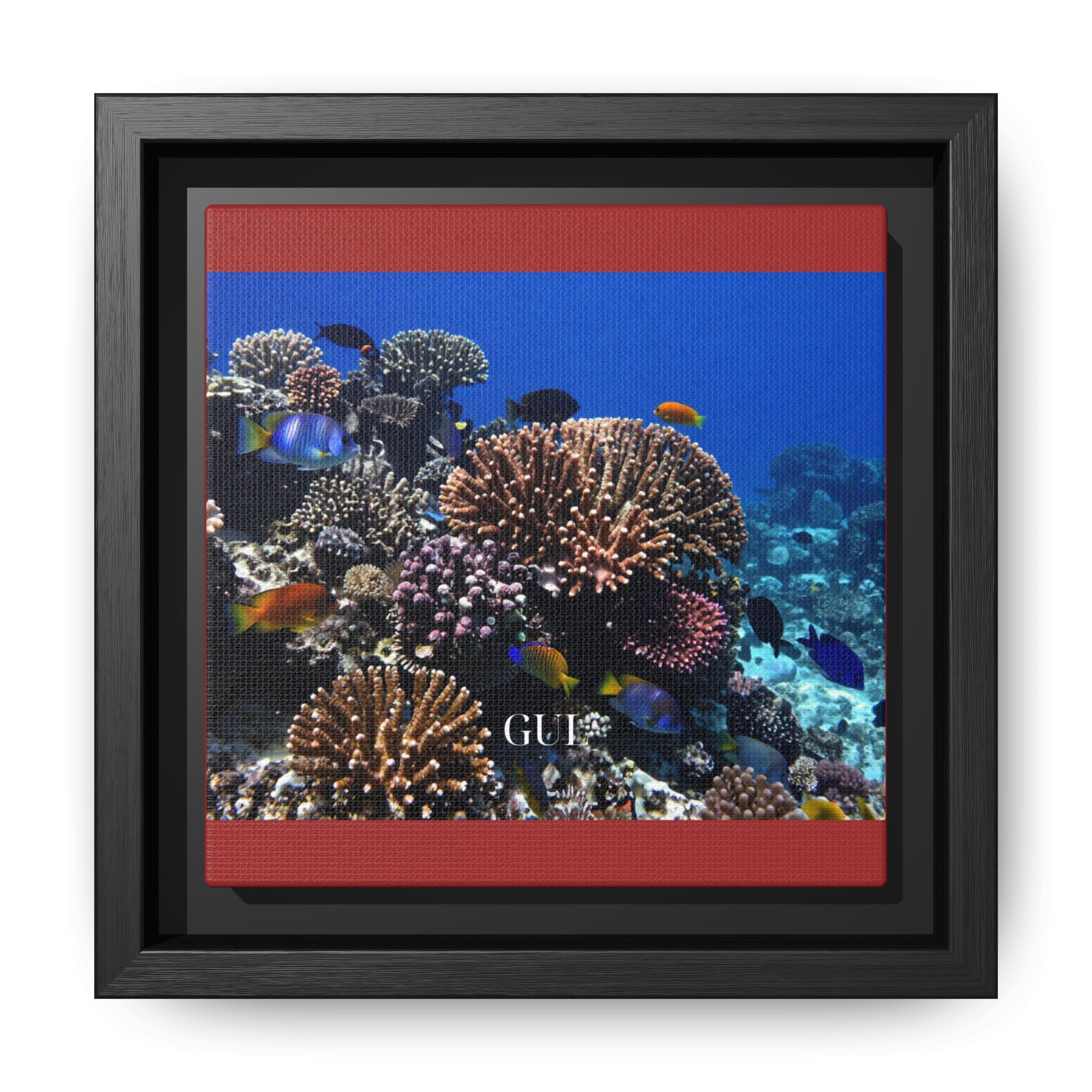 Framed Coral Reef Matte Canvas Wall Art — Tropical Ocean Photography Print