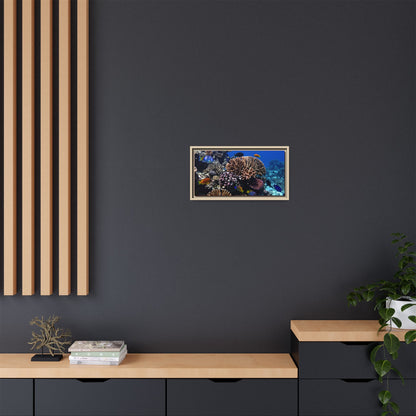 Framed Coral Reef Matte Canvas Wall Art — Tropical Ocean Photography Print