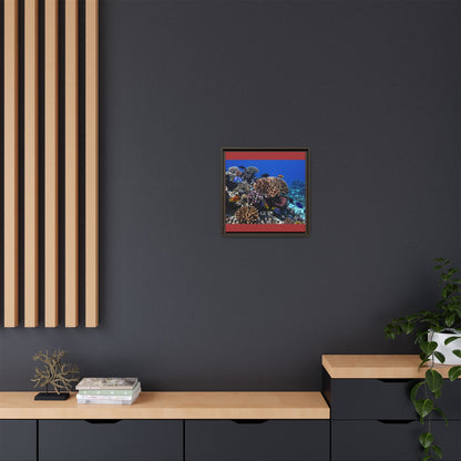 Framed Coral Reef Matte Canvas Wall Art — Tropical Ocean Photography Print