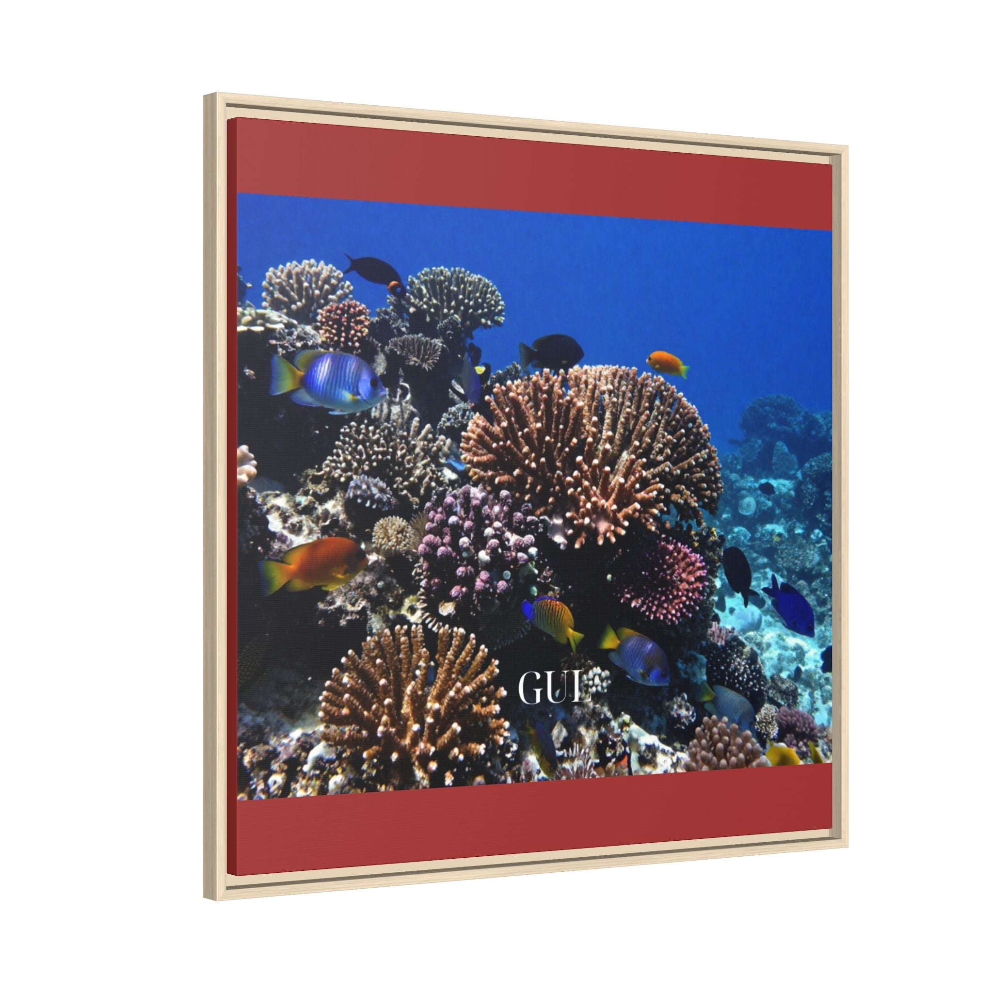 Framed Coral Reef Matte Canvas Wall Art — Tropical Ocean Photography Print