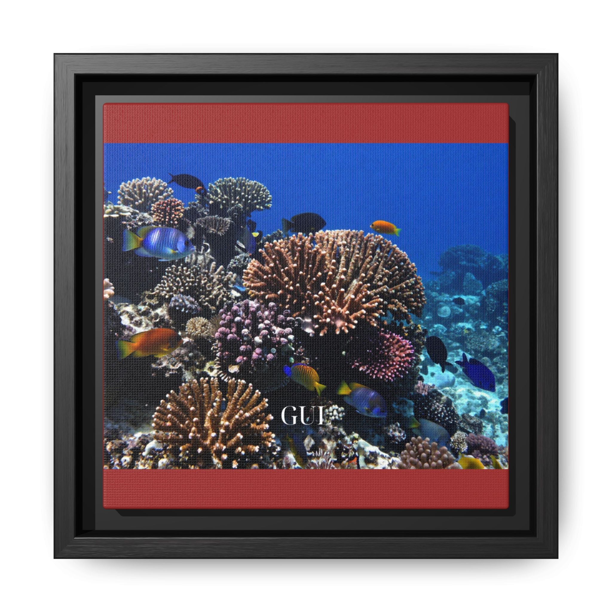 Framed Coral Reef Matte Canvas Wall Art — Tropical Ocean Photography Print