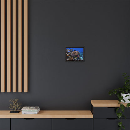 Framed Coral Reef Matte Canvas Wall Art — Tropical Ocean Photography Print