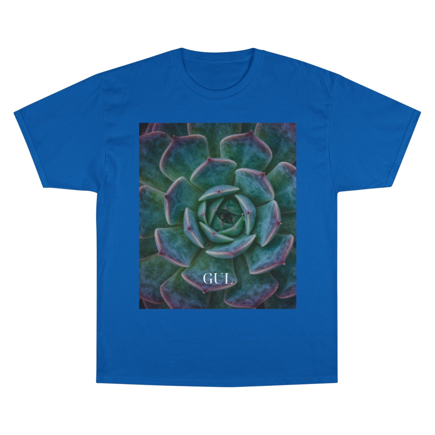 Champion Graphic T‑Shirt — Succulent &amp; Pyramid Photo Print Tee