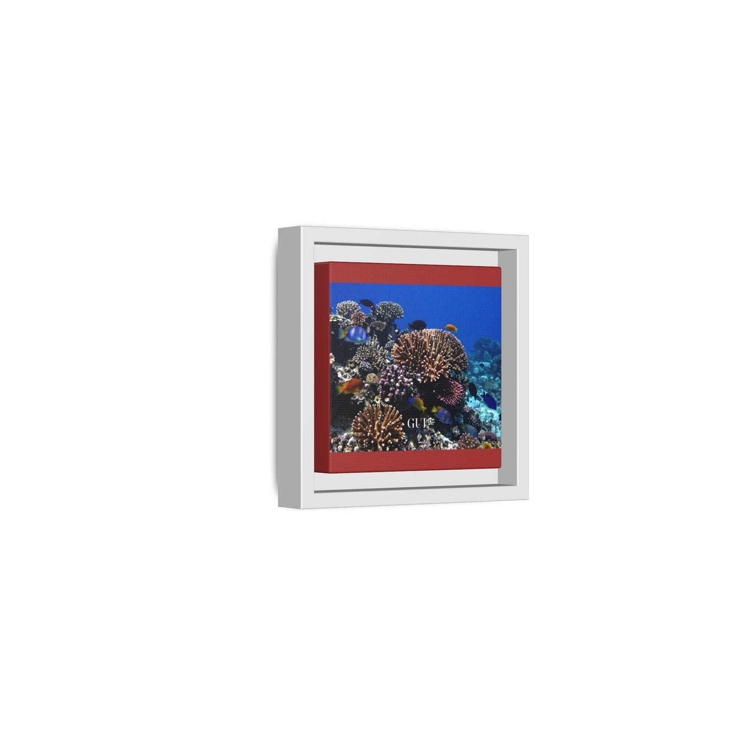 Framed Coral Reef Matte Canvas Wall Art — Tropical Ocean Photography Print