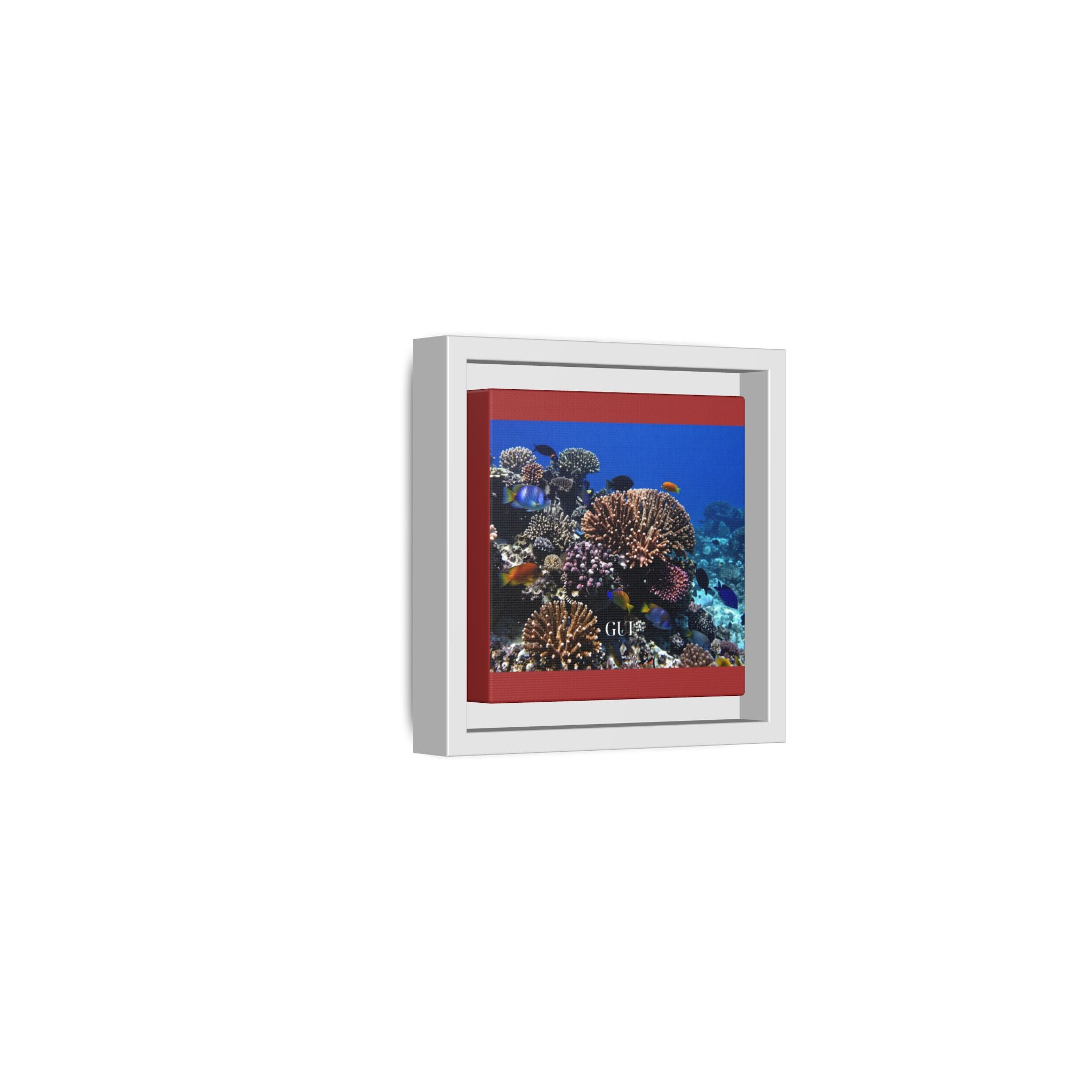 Framed Coral Reef Matte Canvas Wall Art — Tropical Ocean Photography Print