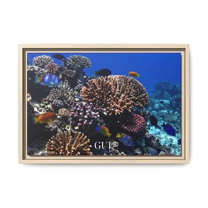 Framed Coral Reef Matte Canvas Wall Art — Tropical Ocean Photography Print