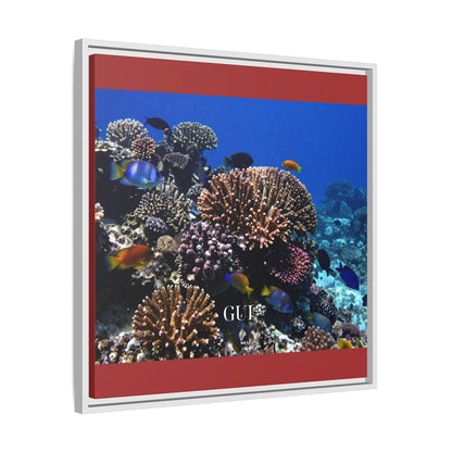 Framed Coral Reef Matte Canvas Wall Art — Tropical Ocean Photography Print