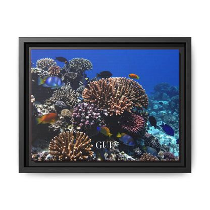 Framed Coral Reef Matte Canvas Wall Art — Tropical Ocean Photography Print