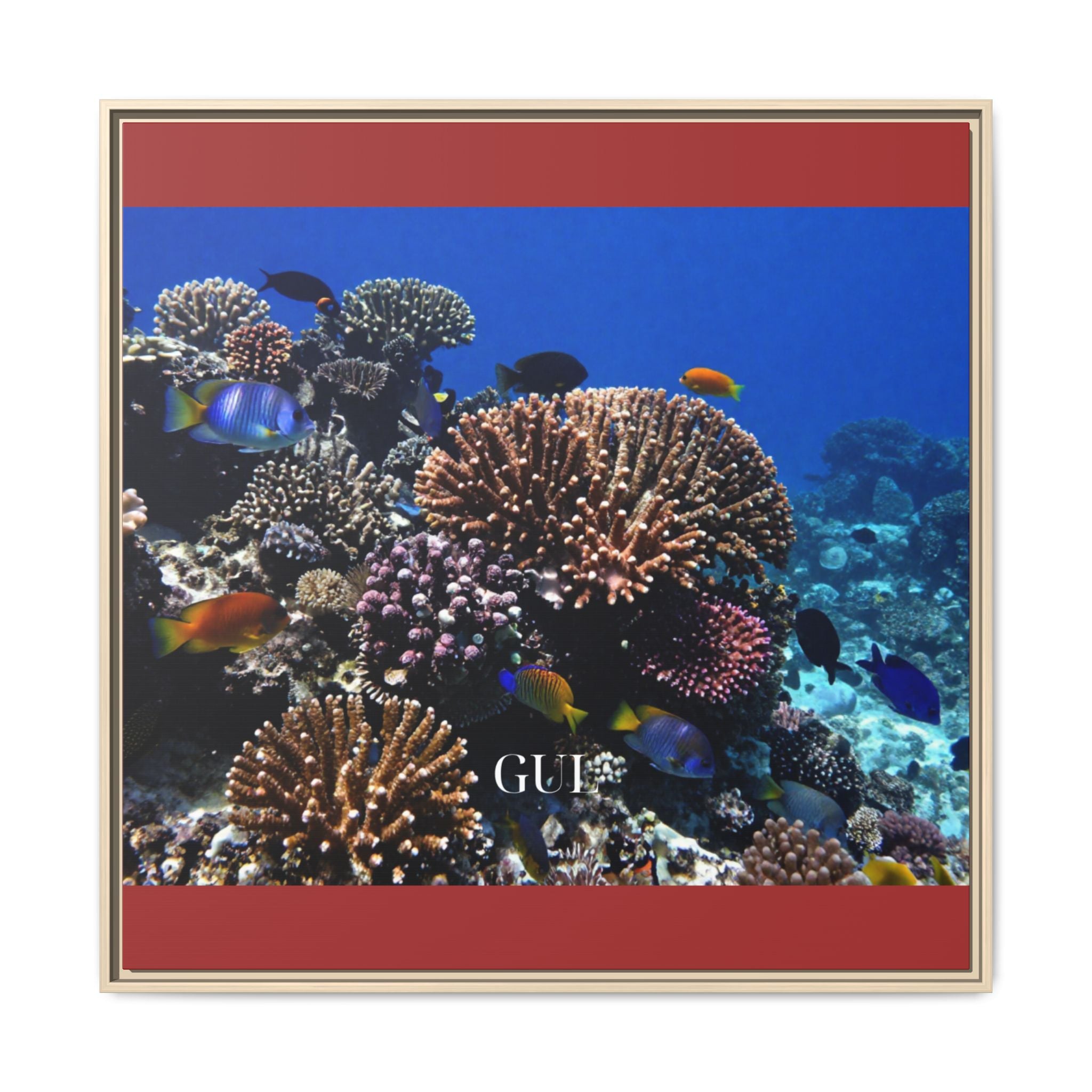 Framed Coral Reef Matte Canvas Wall Art — Tropical Ocean Photography Print