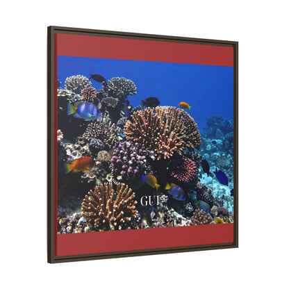 Framed Coral Reef Matte Canvas Wall Art — Tropical Ocean Photography Print