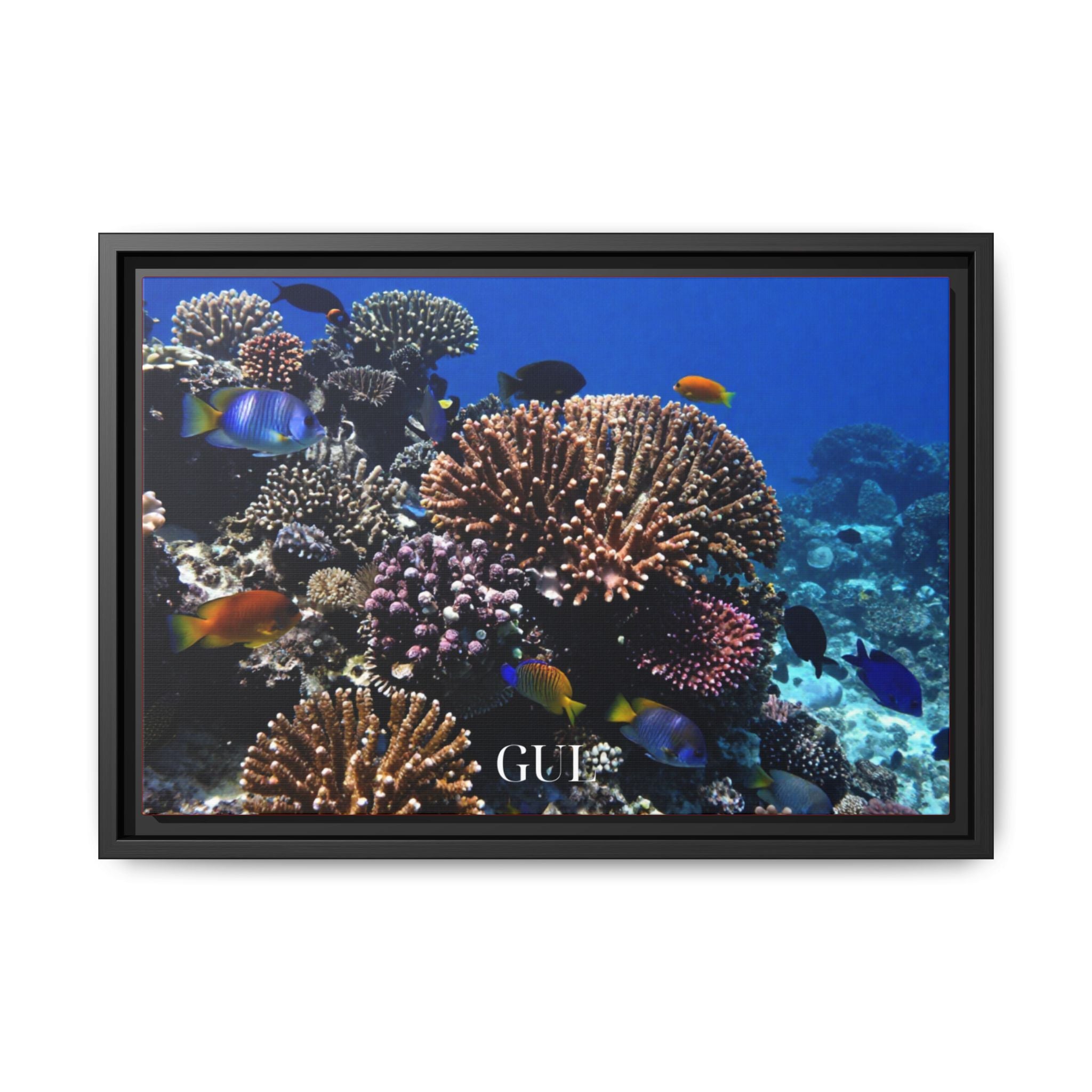 Framed Coral Reef Matte Canvas Wall Art — Tropical Ocean Photography Print