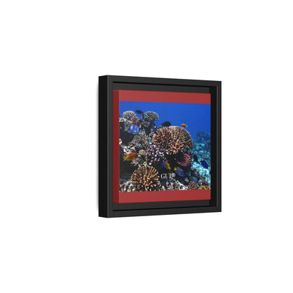 Framed Coral Reef Matte Canvas Wall Art — Tropical Ocean Photography Print
