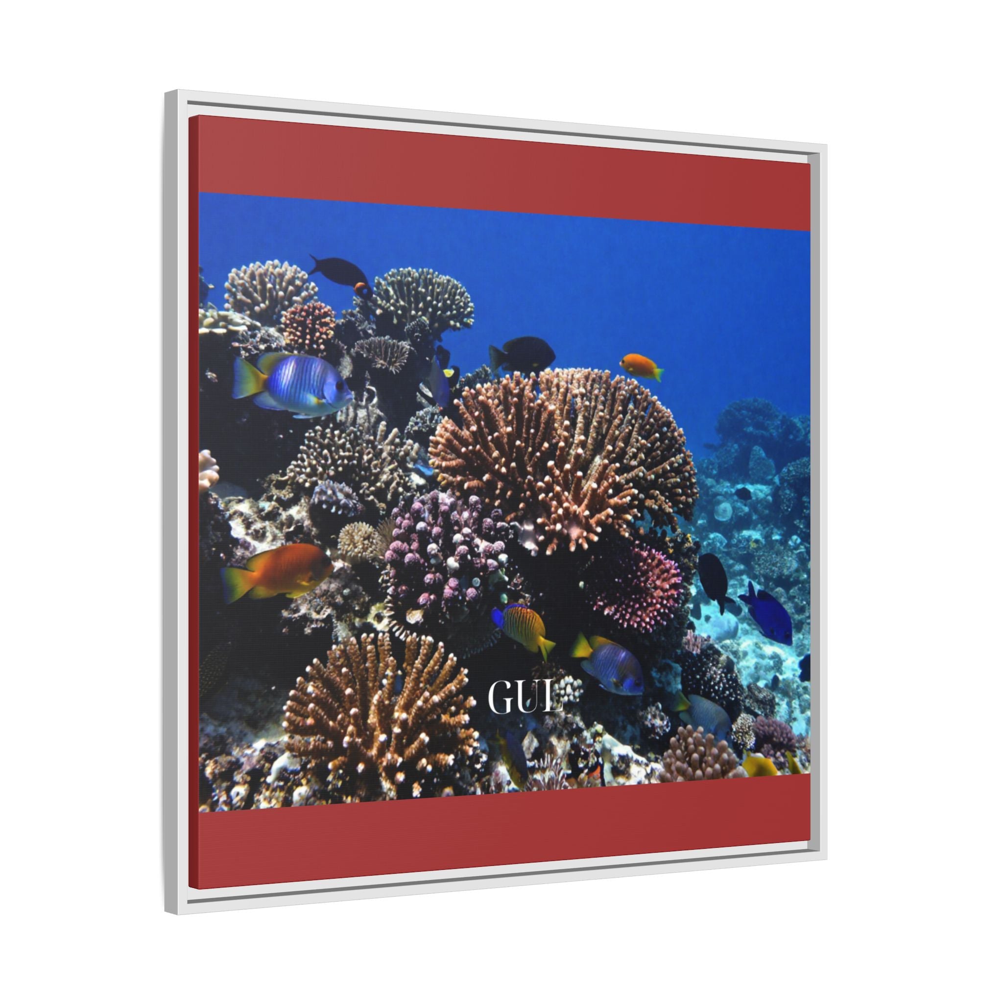 Framed Coral Reef Matte Canvas Wall Art — Tropical Ocean Photography Print