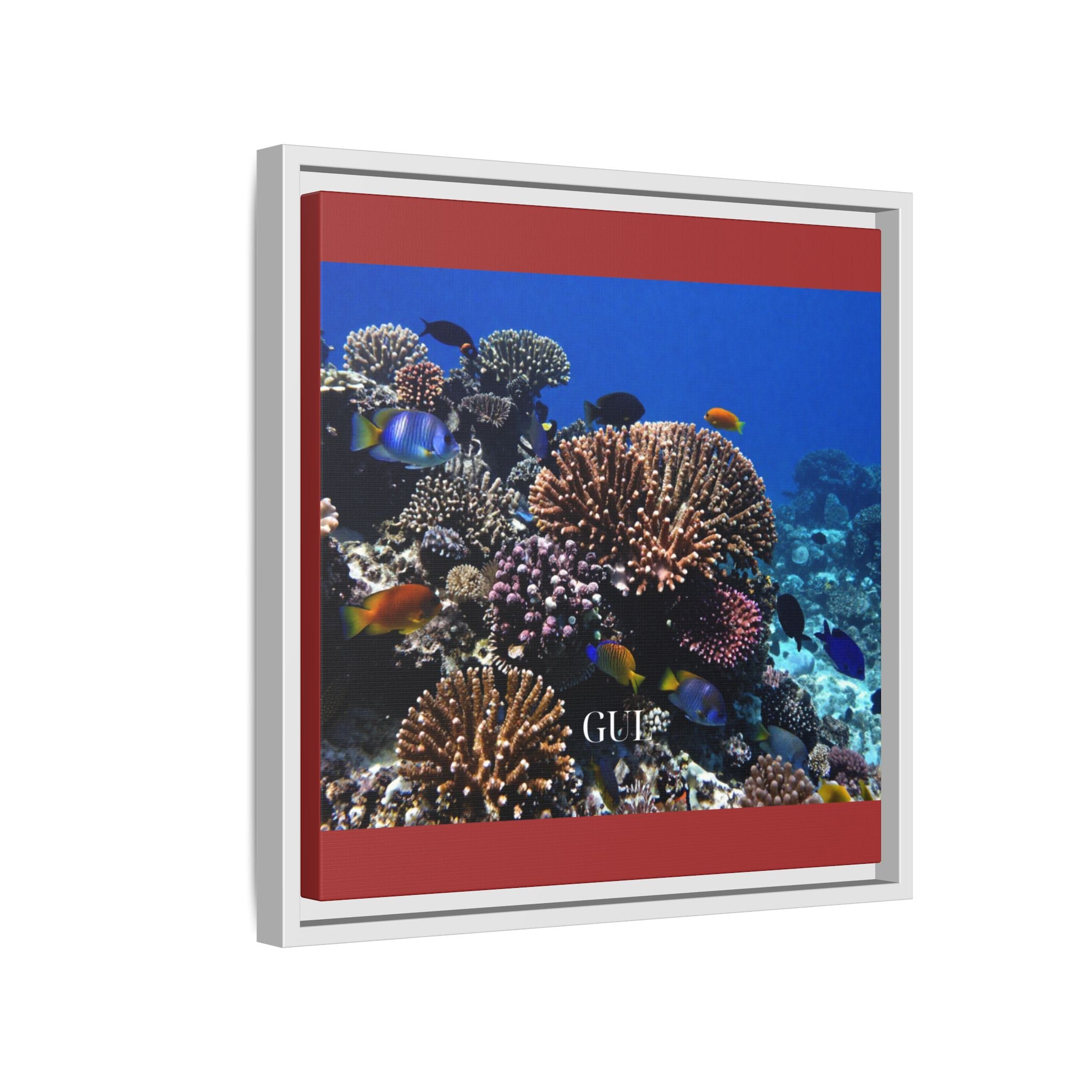 Framed Coral Reef Matte Canvas Wall Art — Tropical Ocean Photography Print