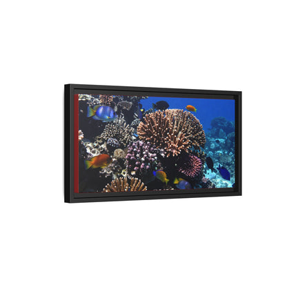Framed Coral Reef Matte Canvas Wall Art — Tropical Ocean Photography Print