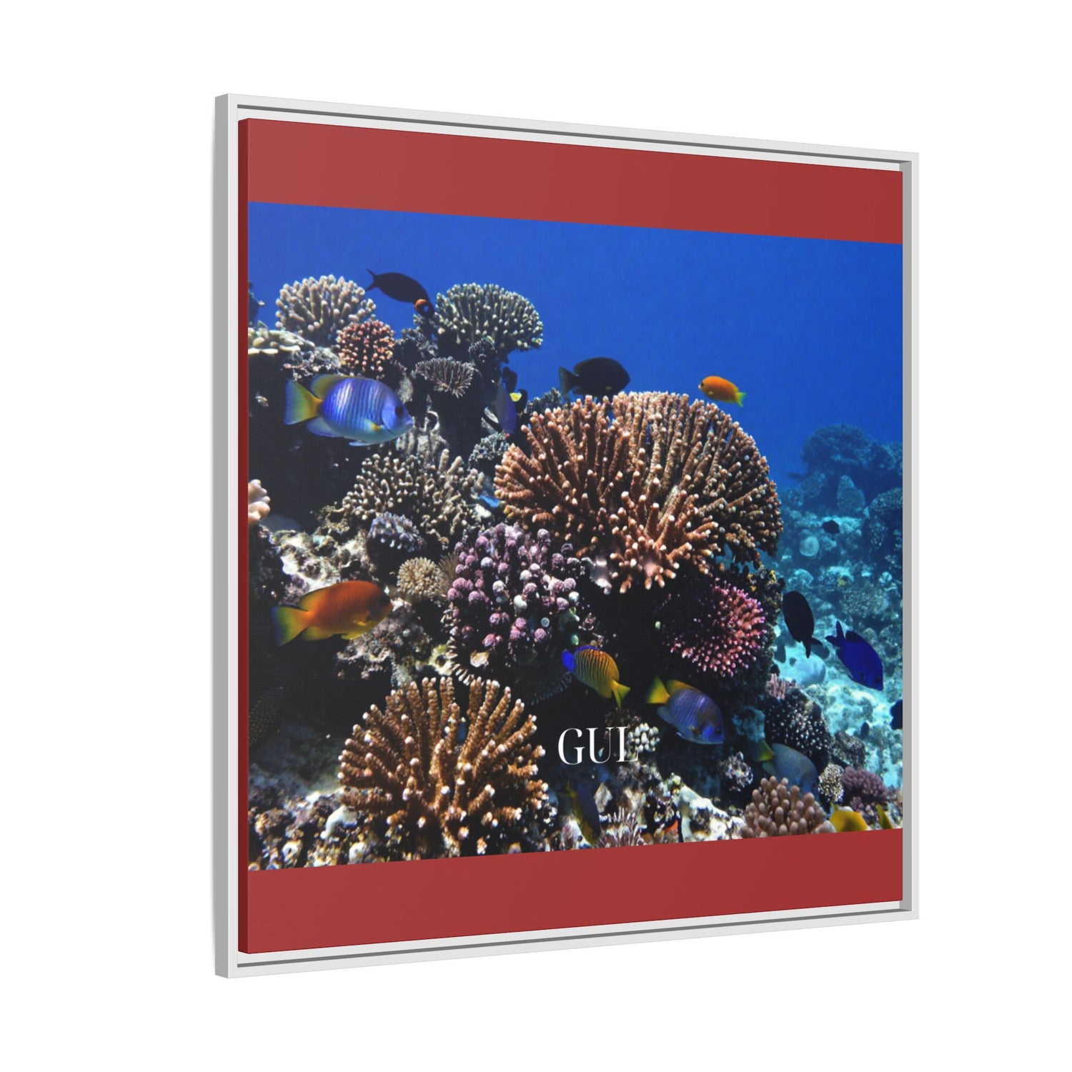 Framed Coral Reef Matte Canvas Wall Art — Tropical Ocean Photography Print