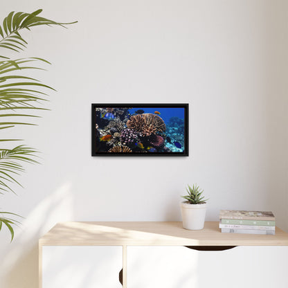 Framed Coral Reef Matte Canvas Wall Art — Tropical Ocean Photography Print