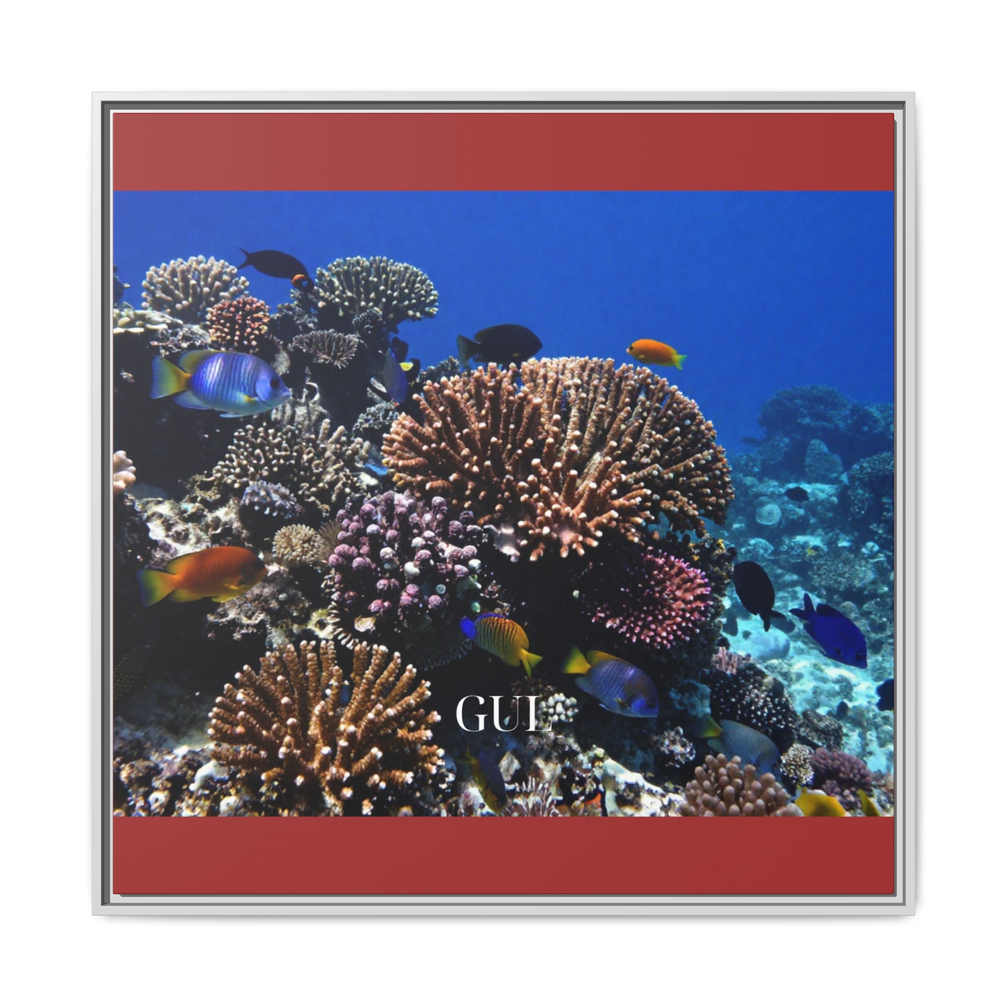 Framed Coral Reef Matte Canvas Wall Art — Tropical Ocean Photography Print