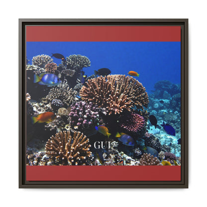 Framed Coral Reef Matte Canvas Wall Art — Tropical Ocean Photography Print