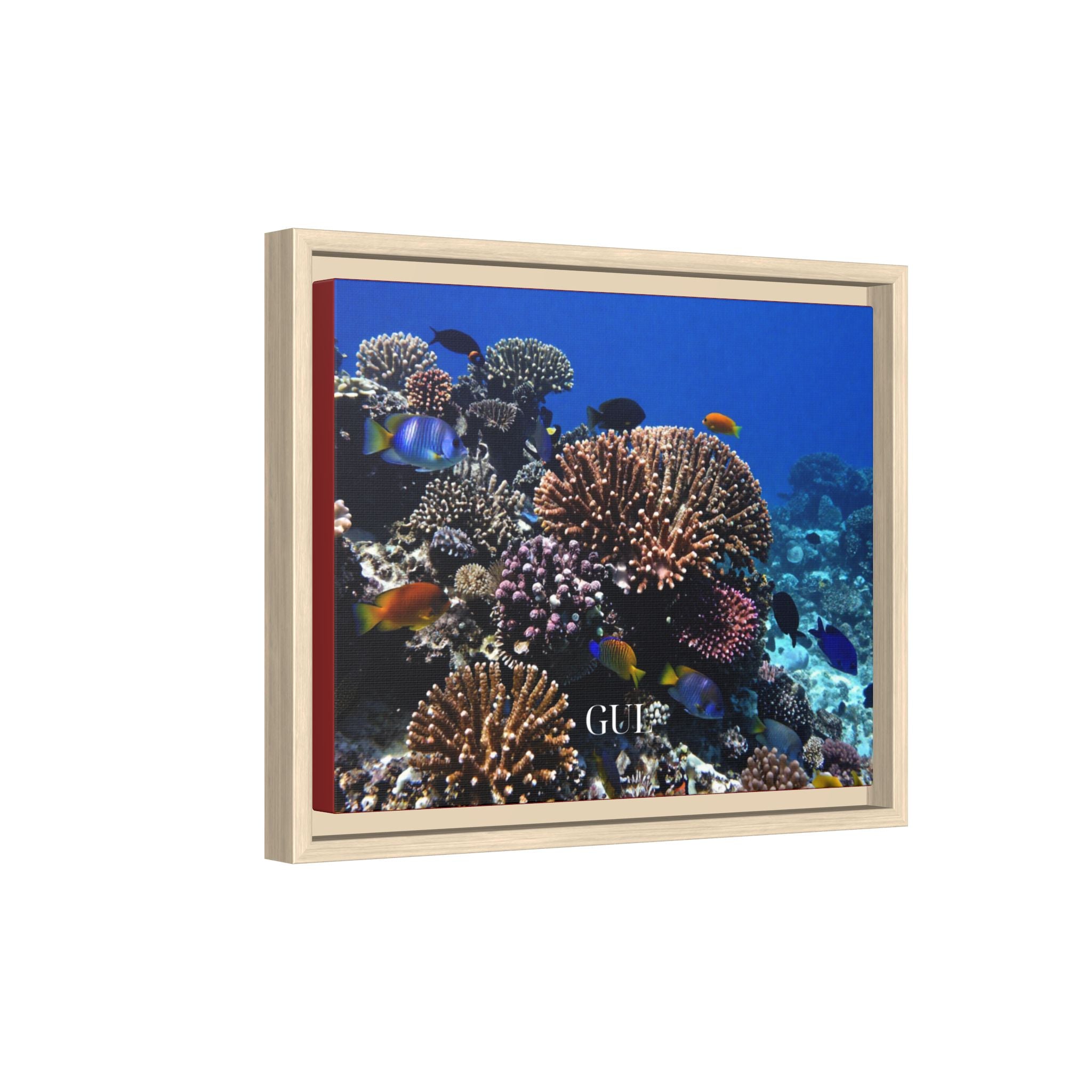 Framed Coral Reef Matte Canvas Wall Art — Tropical Ocean Photography Print