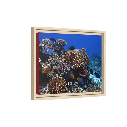 Framed Coral Reef Matte Canvas Wall Art — Tropical Ocean Photography Print