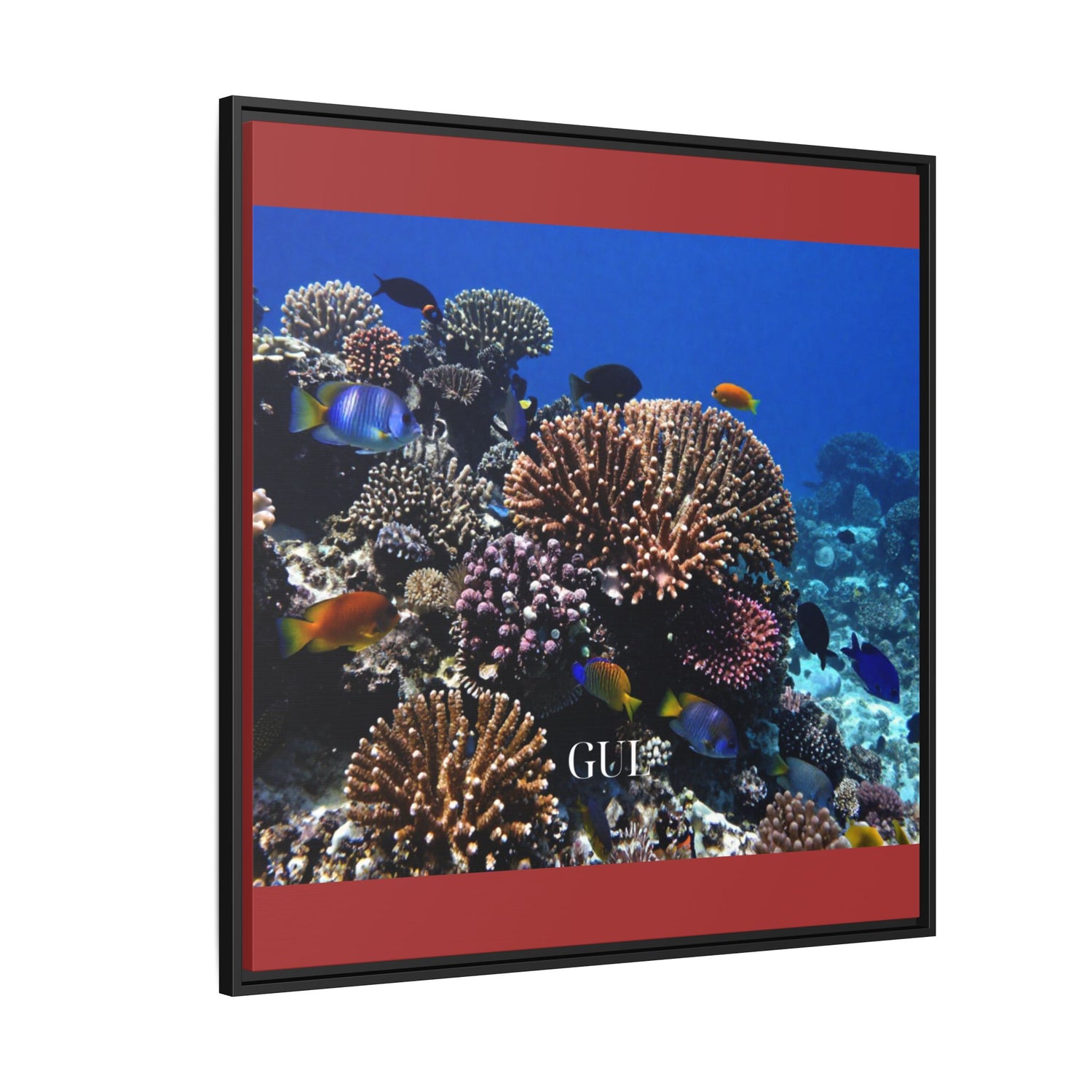 Framed Coral Reef Matte Canvas Wall Art — Tropical Ocean Photography Print