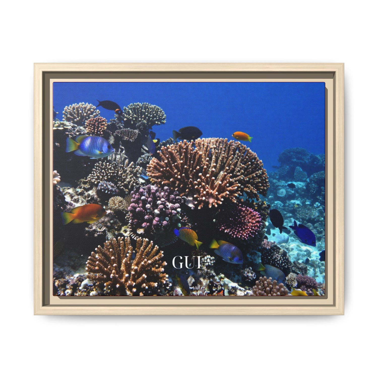 Framed Coral Reef Matte Canvas Wall Art — Tropical Ocean Photography Print