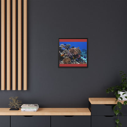 Framed Coral Reef Matte Canvas Wall Art — Tropical Ocean Photography Print
