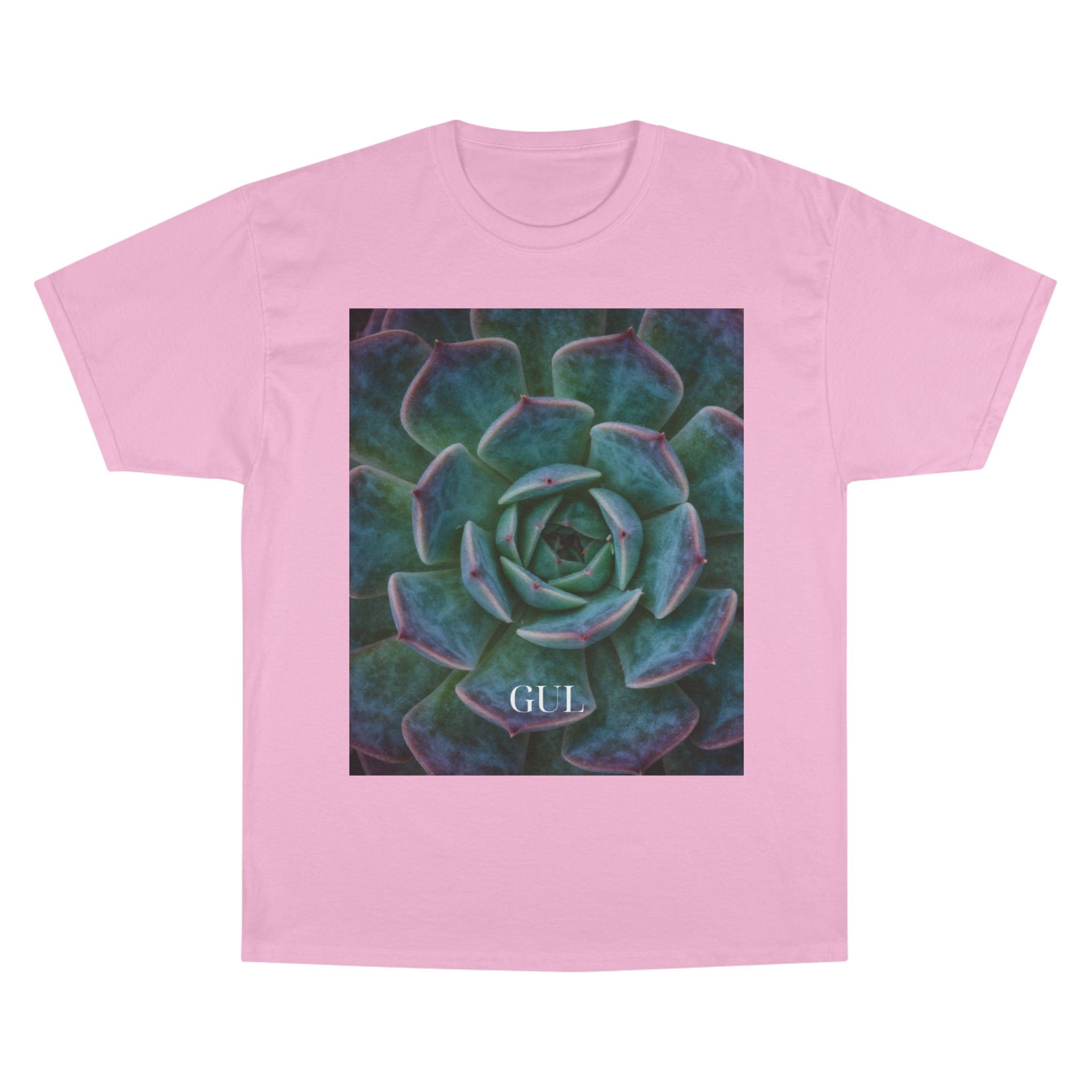 Champion Graphic T‑Shirt — Succulent &amp; Pyramid Photo Print Tee