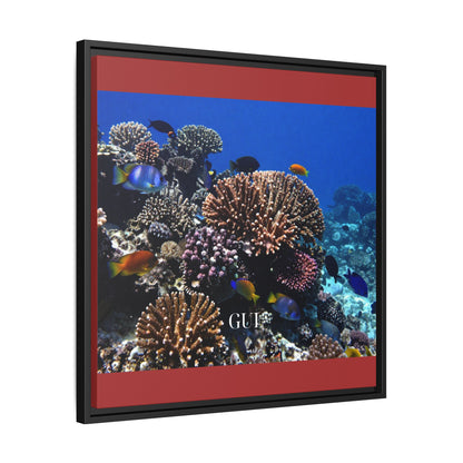 Framed Coral Reef Matte Canvas Wall Art — Tropical Ocean Photography Print