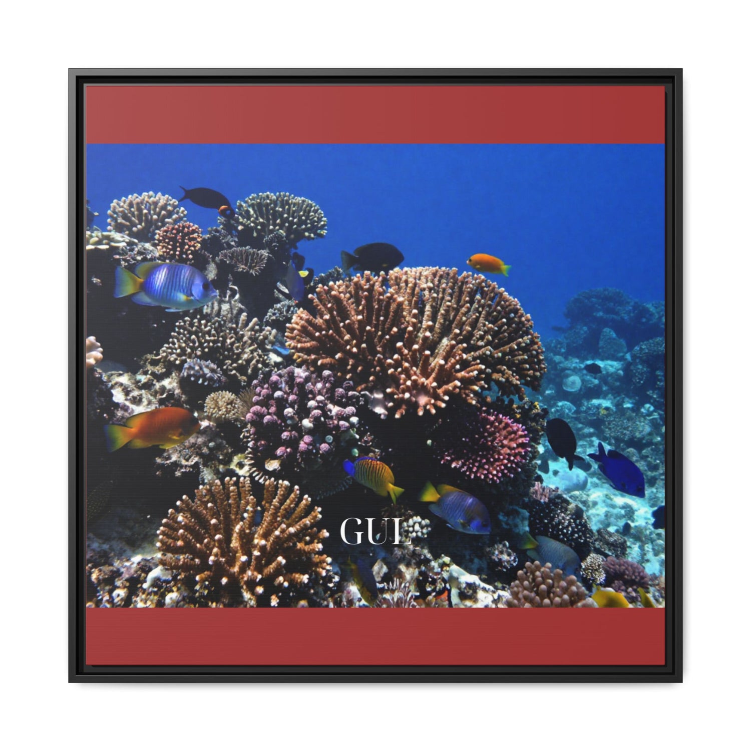 Framed Coral Reef Matte Canvas Wall Art — Tropical Ocean Photography Print