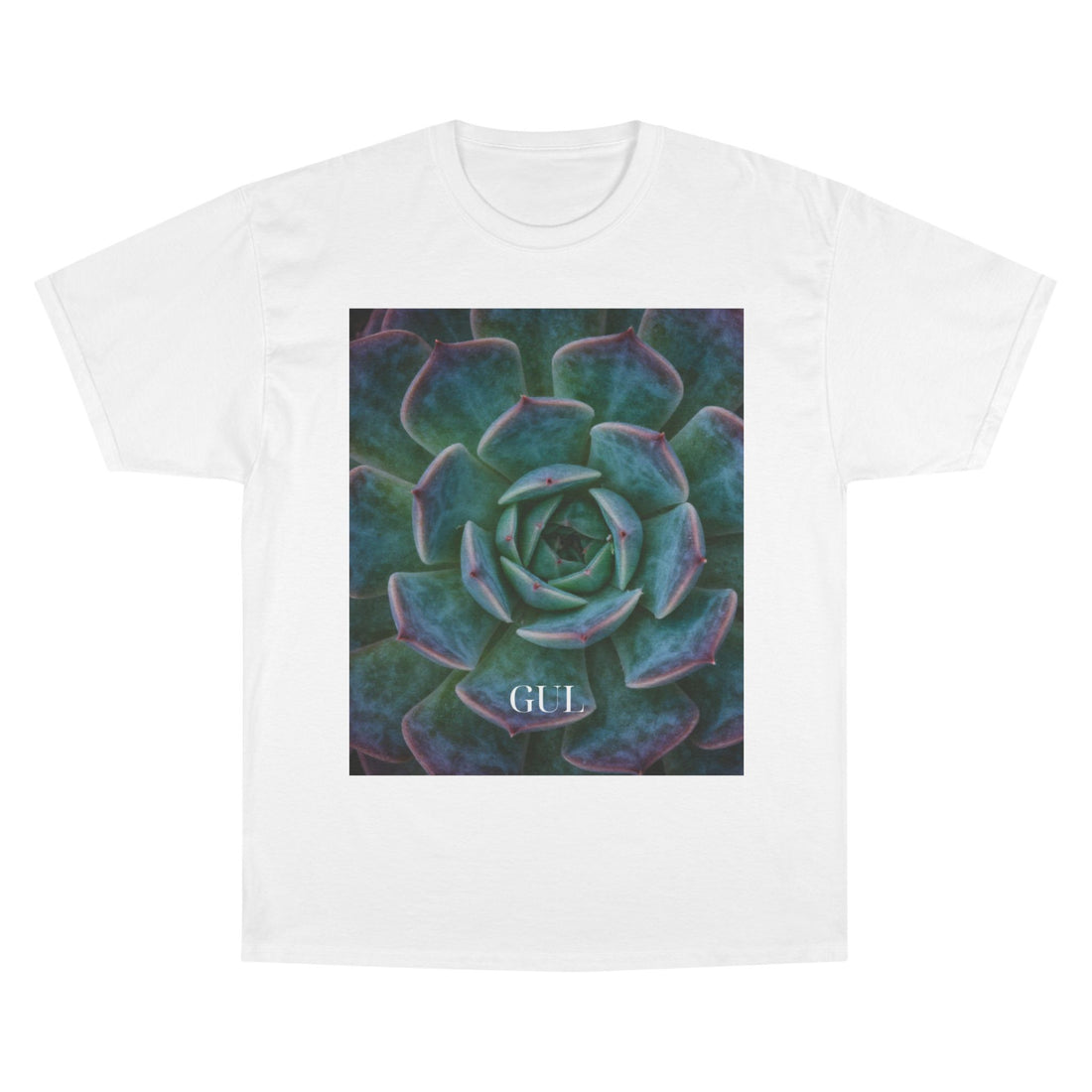 Champion Graphic T‑Shirt — Succulent &amp; Pyramid Photo Print Tee