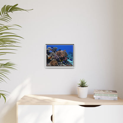 Framed Coral Reef Matte Canvas Wall Art — Tropical Ocean Photography Print