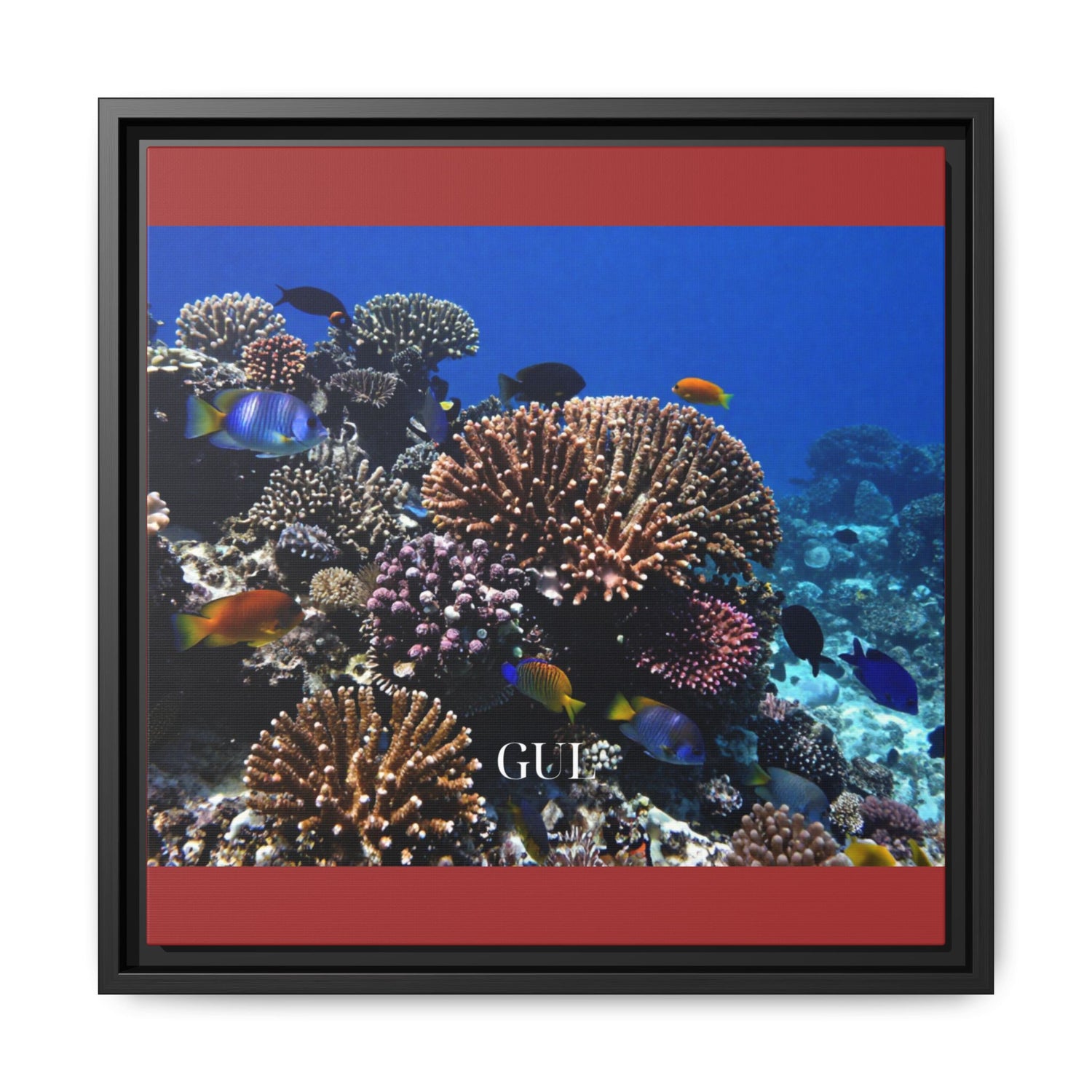 Framed Coral Reef Matte Canvas Wall Art — Tropical Ocean Photography Print