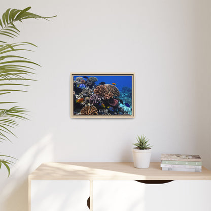 Framed Coral Reef Matte Canvas Wall Art — Tropical Ocean Photography Print