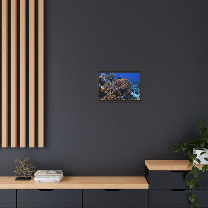 Framed Coral Reef Matte Canvas Wall Art — Tropical Ocean Photography Print