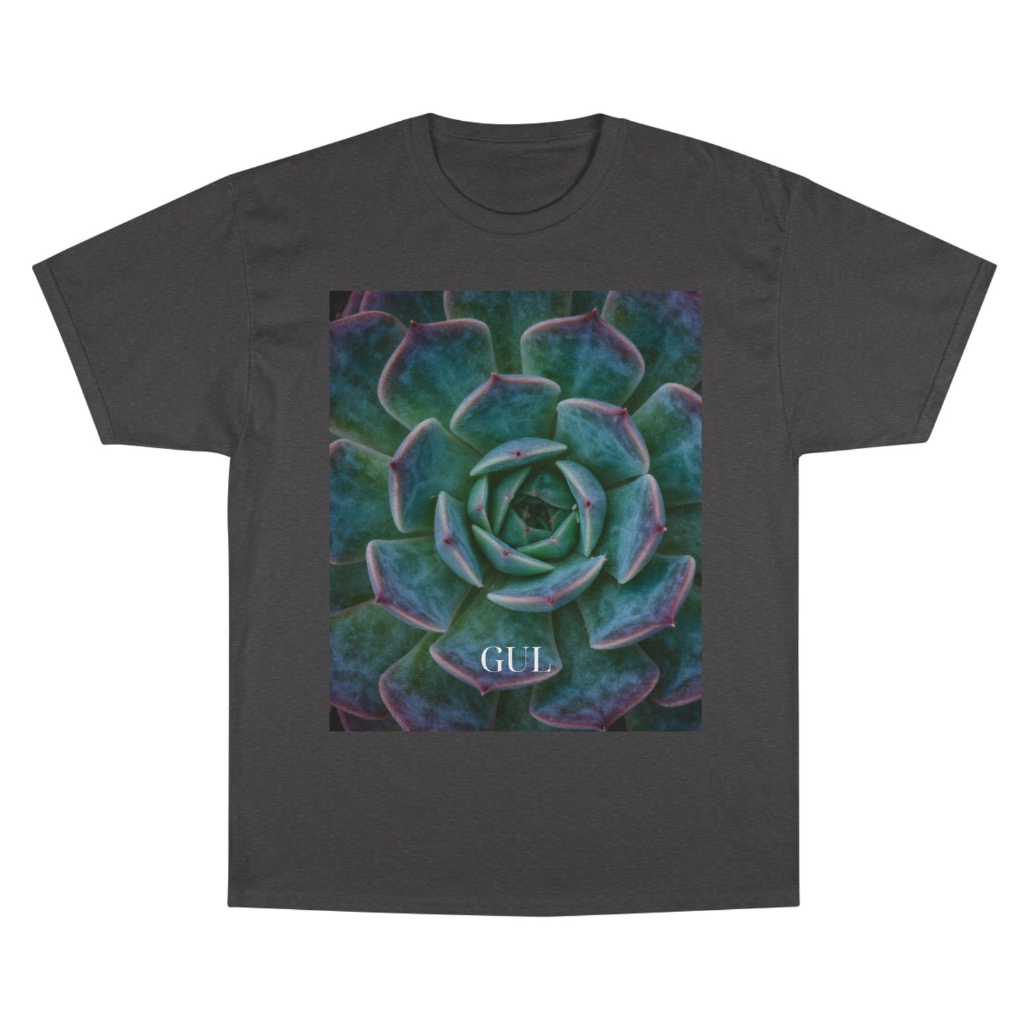 Champion Graphic T‑Shirt — Succulent &amp; Pyramid Photo Print Tee