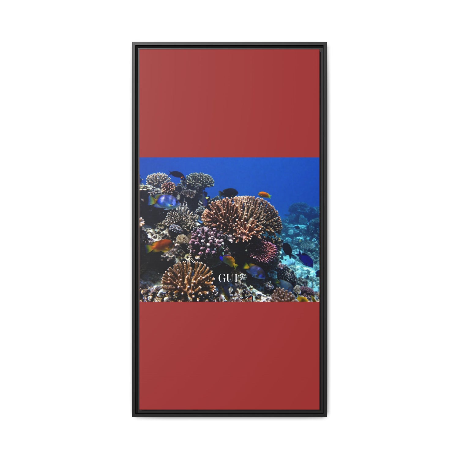 Framed Coral Reef Matte Canvas Wall Art — Tropical Ocean Photography Print
