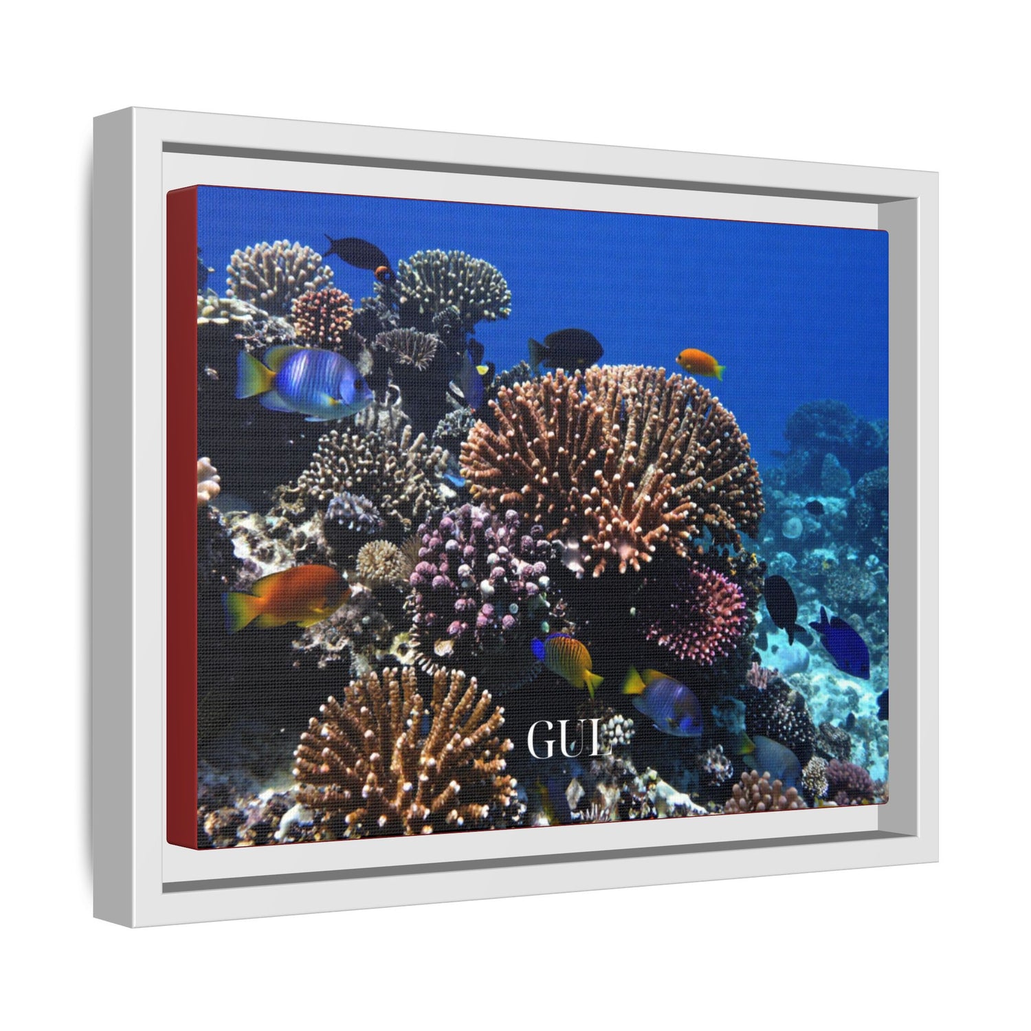 Framed Coral Reef Matte Canvas Wall Art — Tropical Ocean Photography Print
