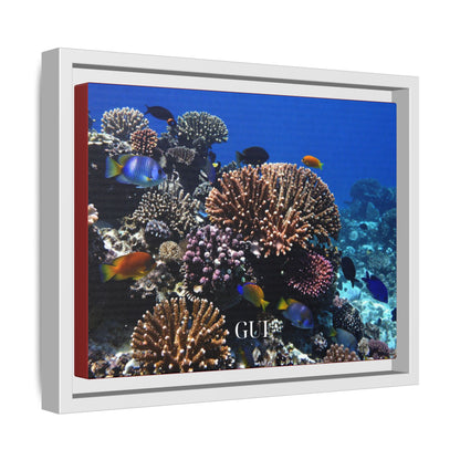 Framed Coral Reef Matte Canvas Wall Art — Tropical Ocean Photography Print