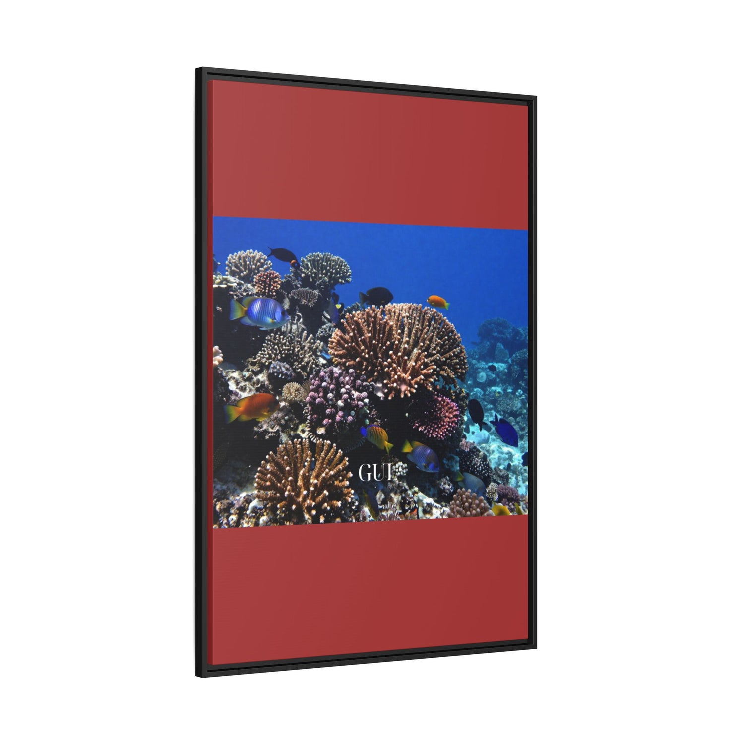 Framed Coral Reef Matte Canvas Wall Art — Tropical Ocean Photography Print